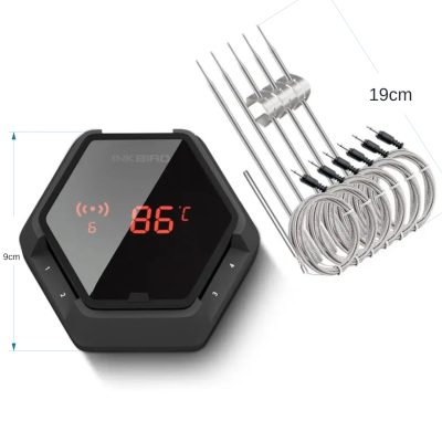 IBT-6XS 6 probe digital thermometer